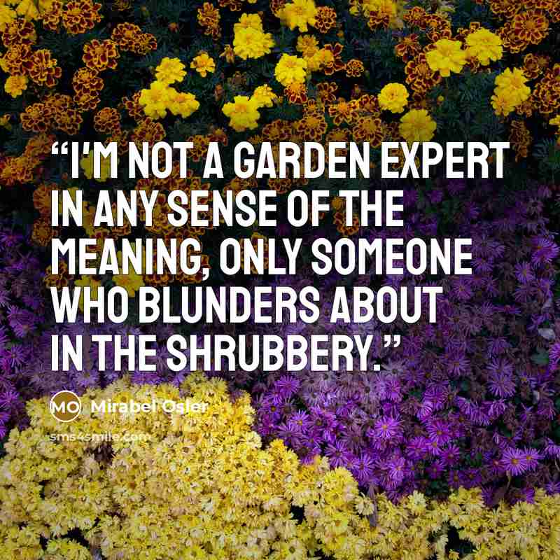“I'm not a garden expert in any sense of the meaning, only someone who blunders about in the shrubbery.” quote by Mirabel Osler
