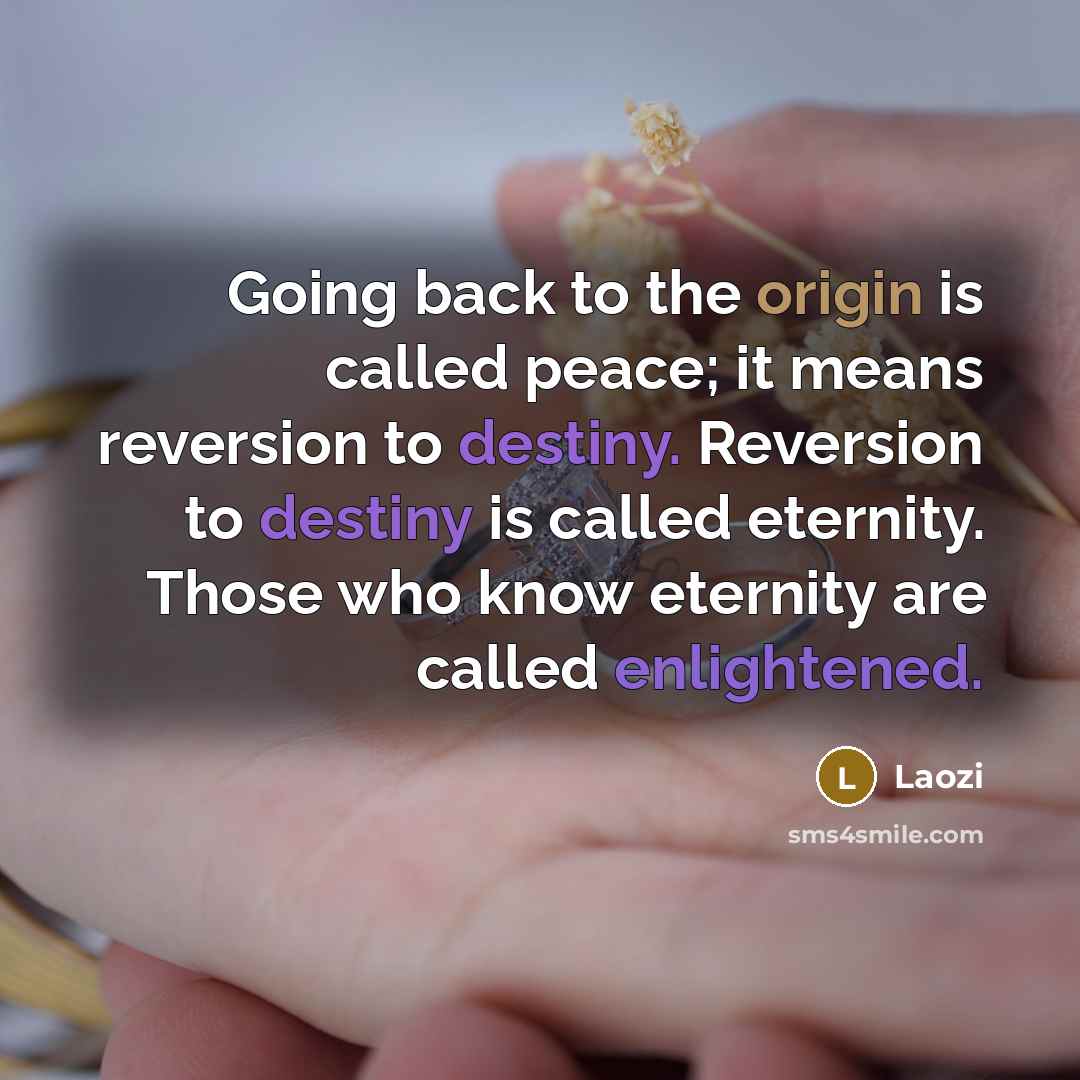 “Going back to the origin is called peace; it means reversion to destiny. Reversion to destiny is called eternity. Those who know eternity are called enlightened.” quote by Laozi