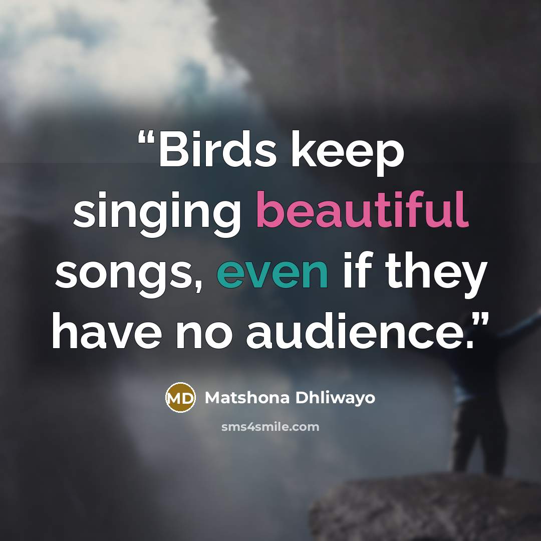 “Birds keep singing beautiful songs, even if they have no audience.” quote by Matshona Dhliwayo