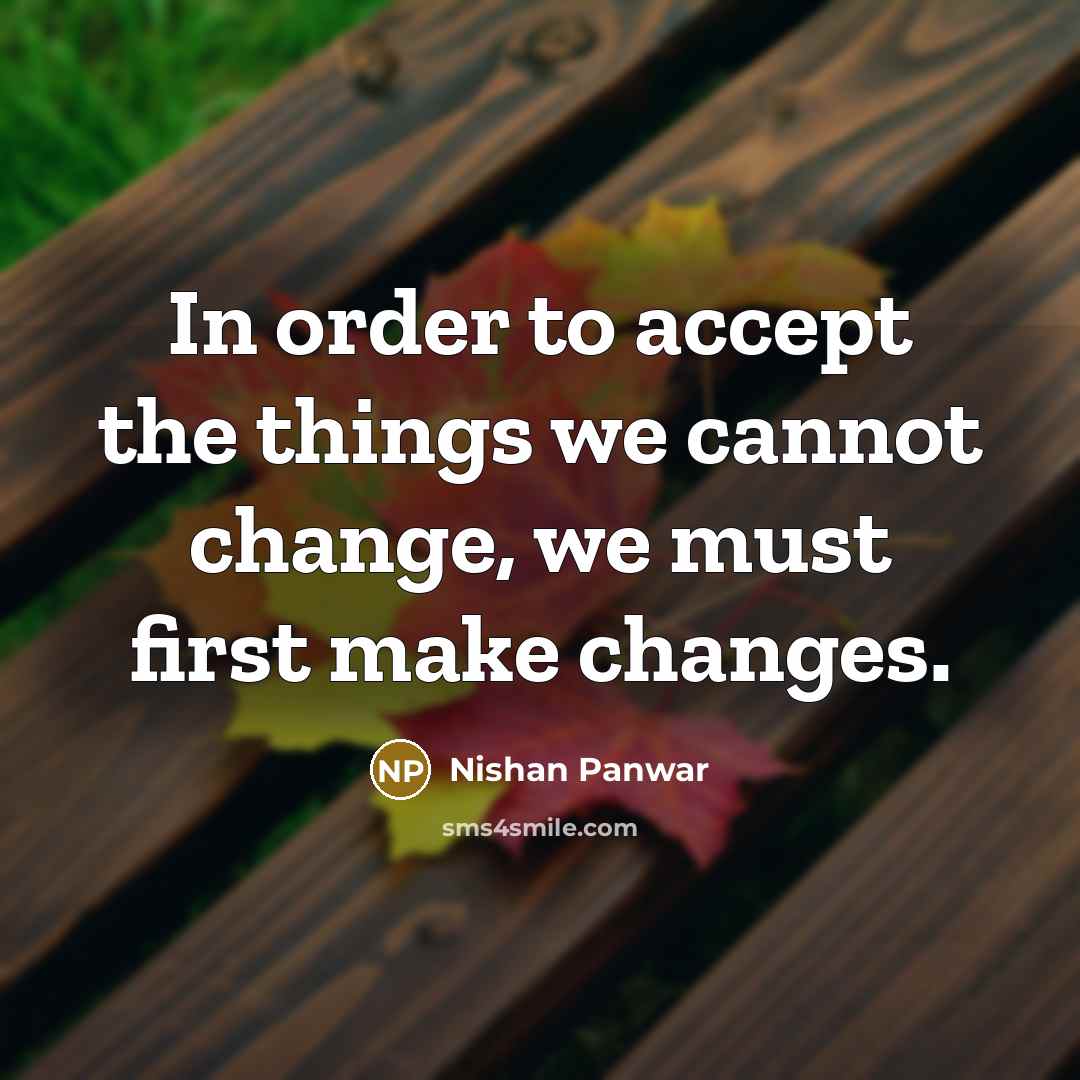 “In order to accept the things we cannot change, we must first make changes.” quote by Nishan Panwar