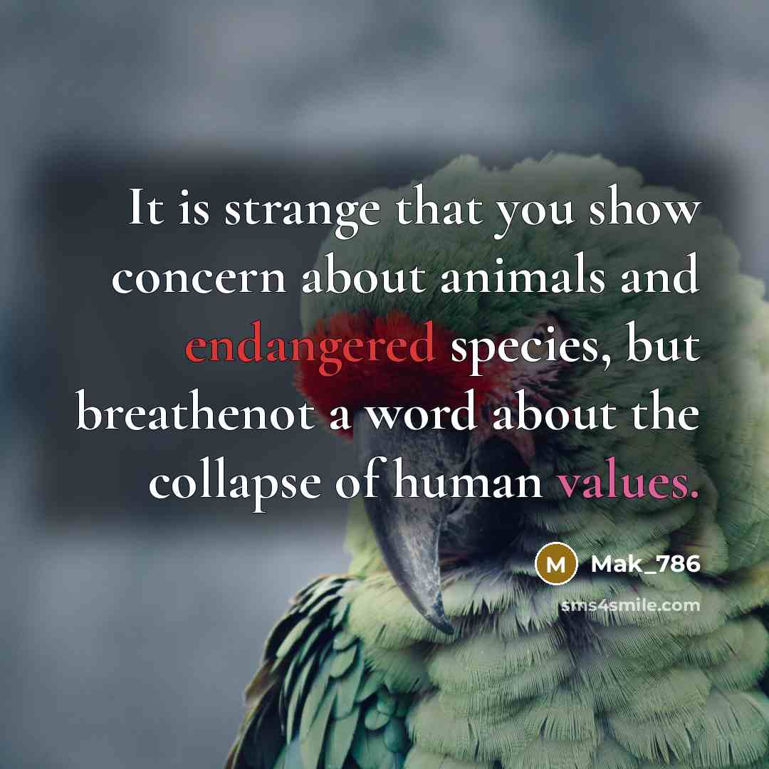 “It is strange that you show concern about animals and endangered species, but breathenot a word about the collapse of human values.” quote by Mak_786