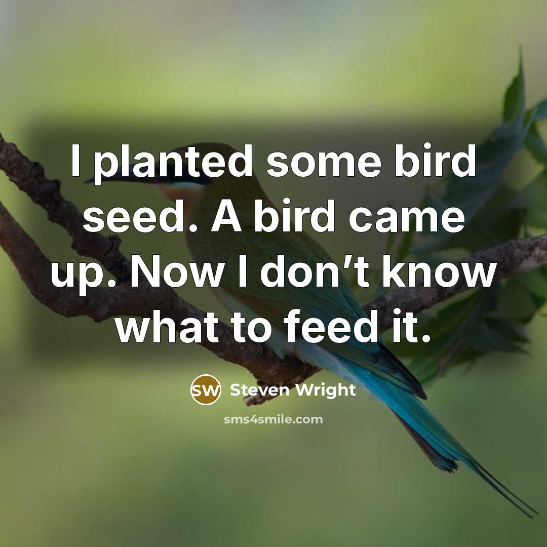 “I planted some bird seed. A bird came up. Now I don’t know what to feed it.” quote by Steven Wright