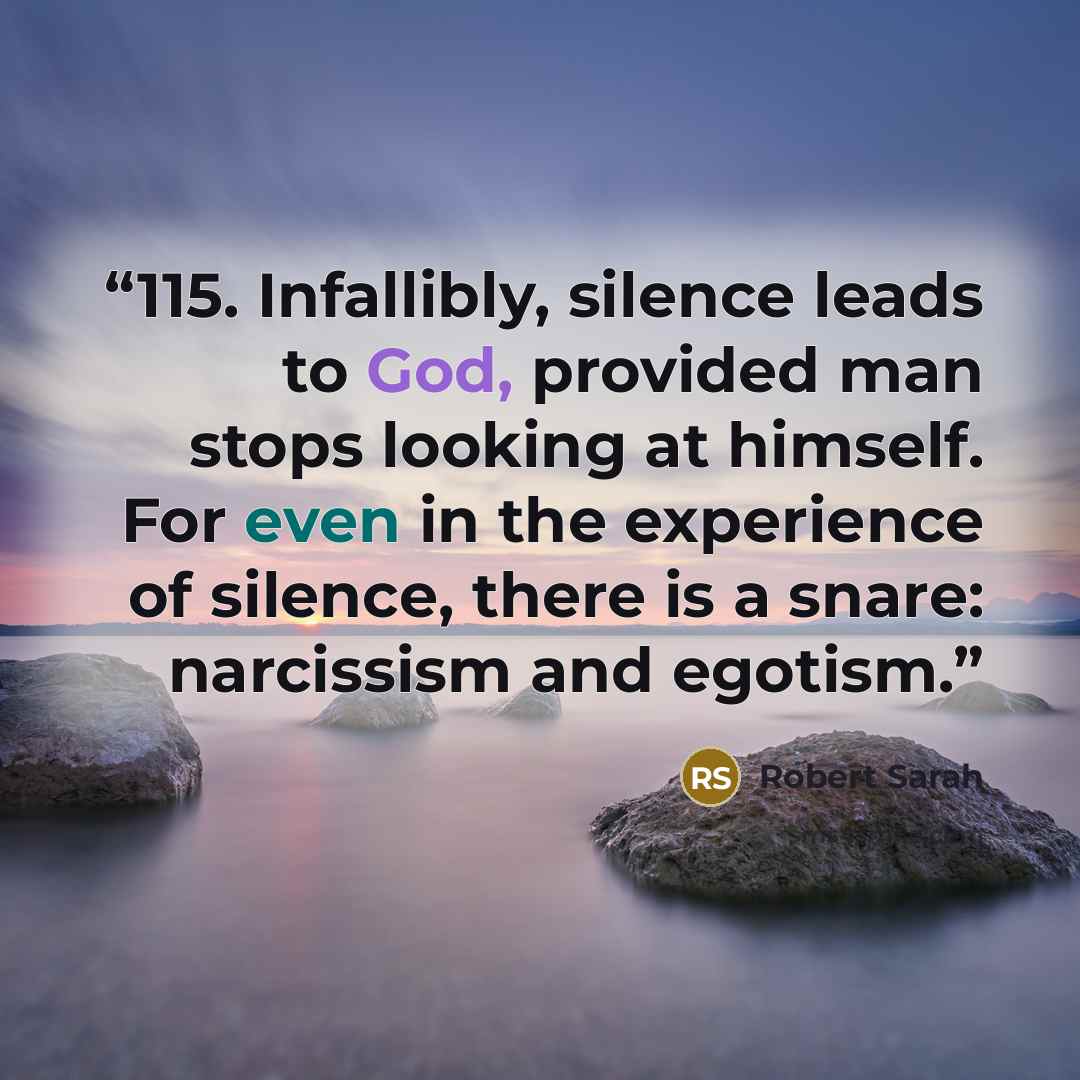 “115. Infallibly, silence leads to God, provided man stops looking at himself. For even in the experience of silence, there is a snare: narcissism and egotism.” quote by Robert Sarah