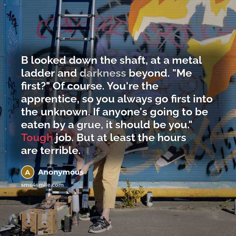 “B looked down the shaft, at a metal ladder and darkness beyond. "Me first?" Of course. You're the apprentice, so you always go first into the unknown. If anyone's going to be eaten by a grue, it should be you." Tough job. But at least the hours are terrible.” quote by Anonymous