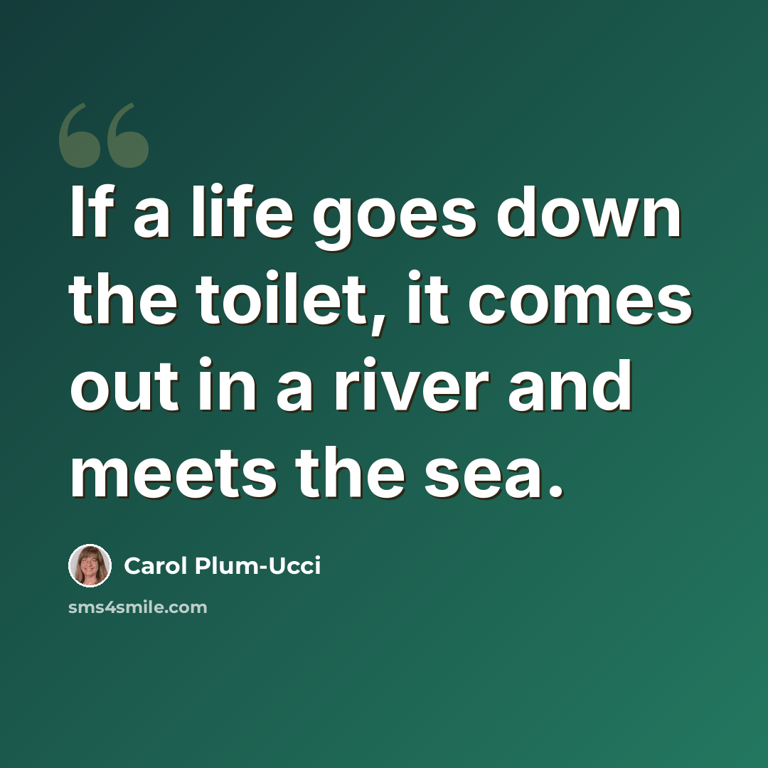 “If a life goes down the toilet, it comes out in a river and meets the sea.” quote by Carol Plum-Ucci