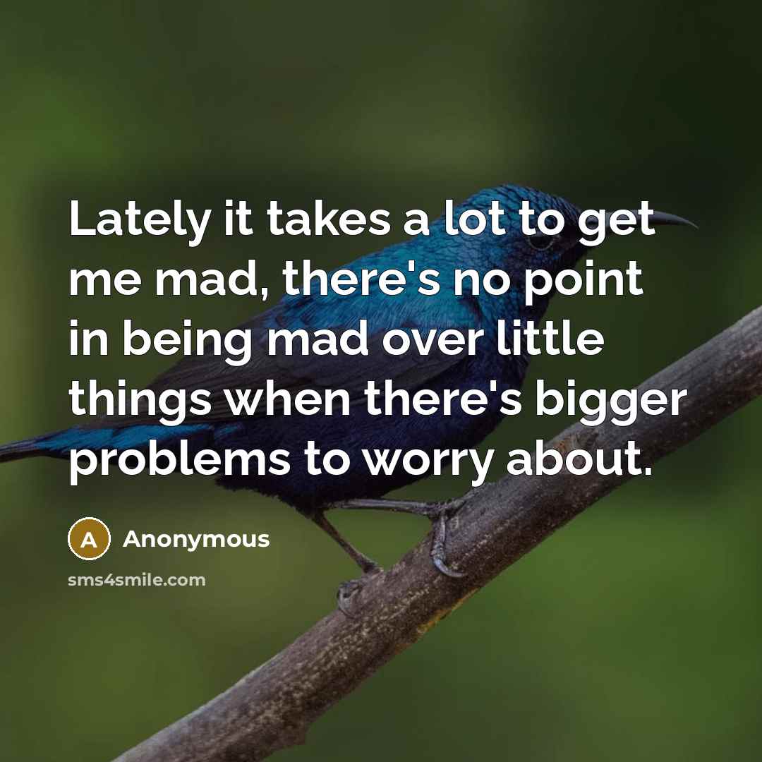 “Lately it takes a lot to get me mad, there's no point in being mad over little things when there's bigger problems to worry about.” quote by Anonymous