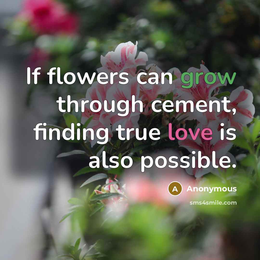 “If flowers can grow through cement, finding true love is also possible.” quote by Anonymous