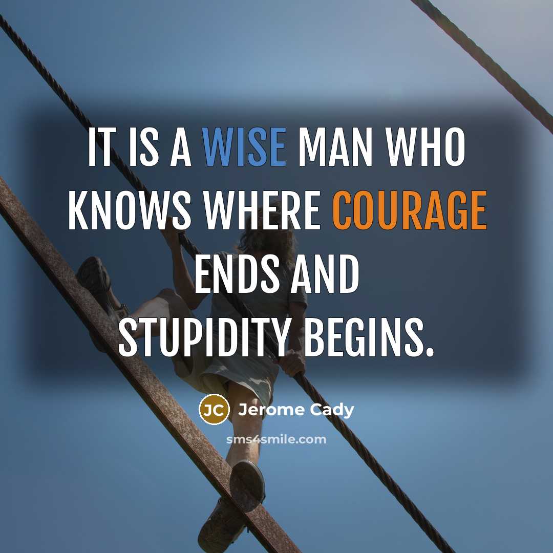 “It is a wise man who knows where courage ends and stupidity begins.” quote by Jerome Cady