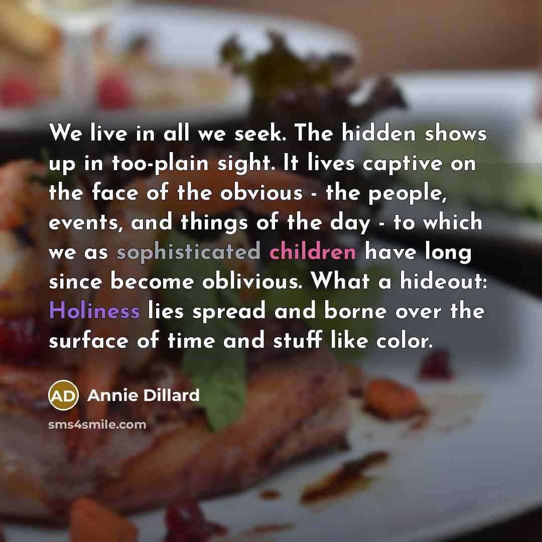 “We live in all we seek. The hidden shows up in too-plain sight. It lives captive on the face of the obvious - the people, events, and things of the day - to which we as sophisticated children have long since become oblivious. What a hideout: Holiness lies spread and borne over the surface of time…” quote by Annie Dillard