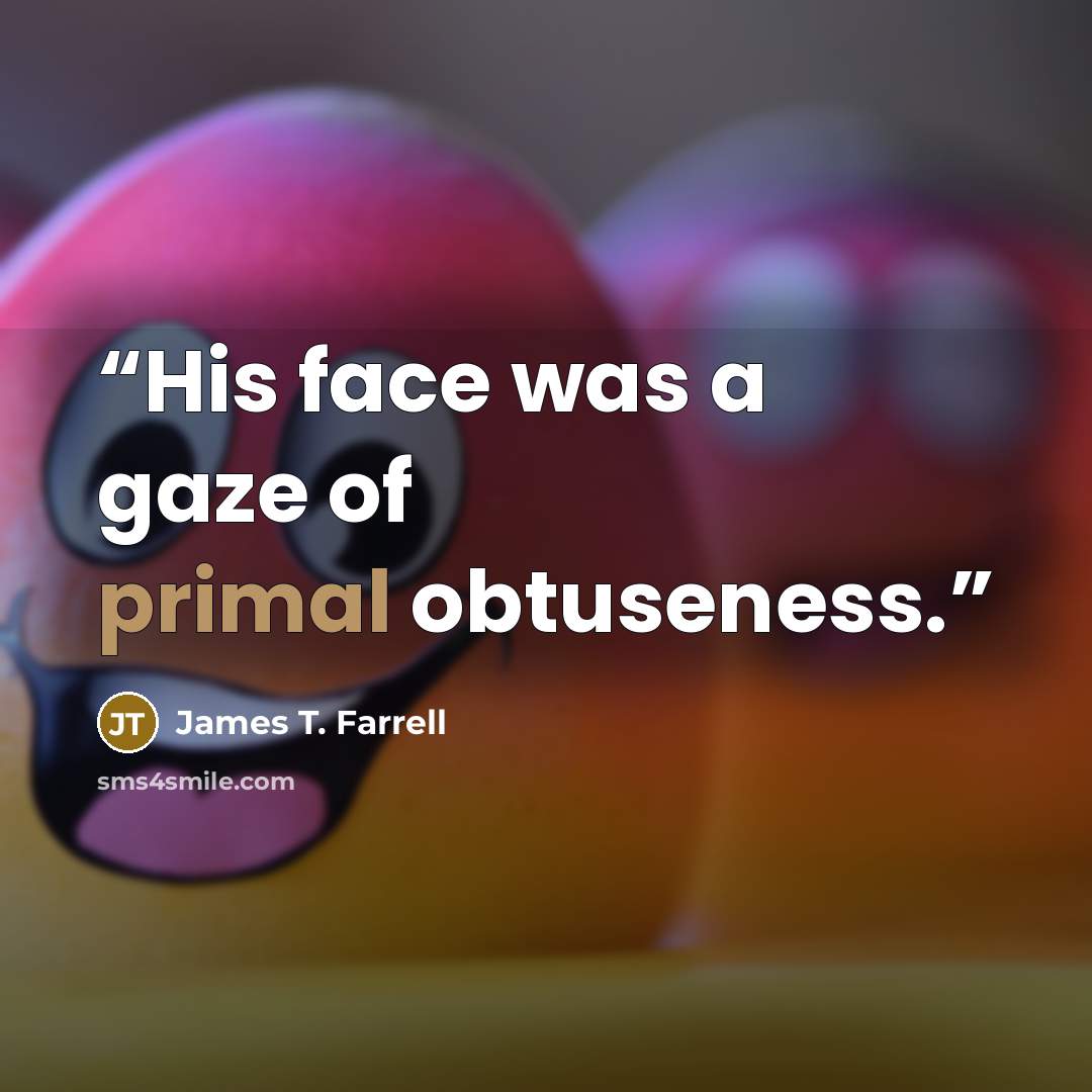 “His face was a gaze of primal obtuseness.” quote by James T. Farrell