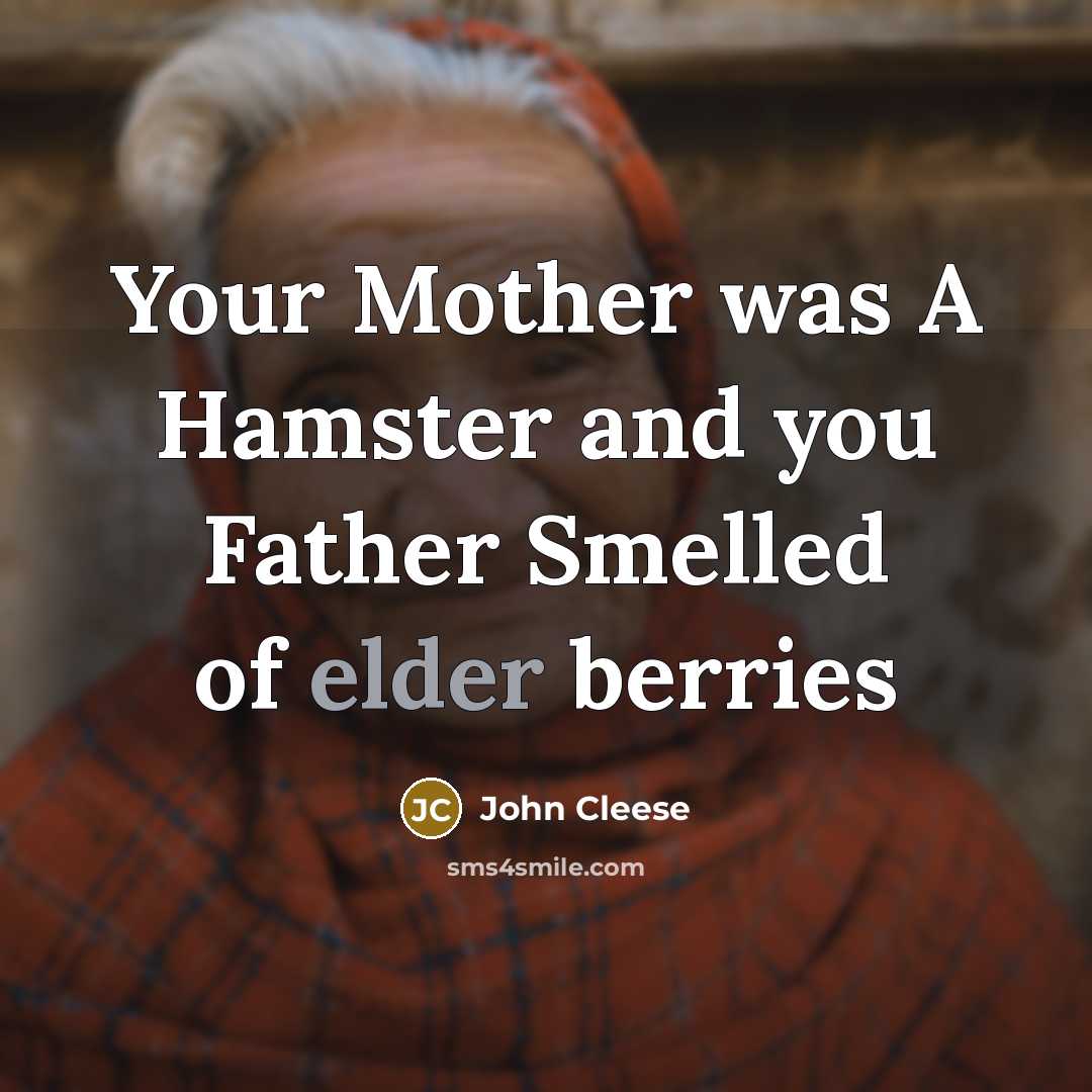 “Your Mother was A Hamster and you Father Smelled of elder berries” quote by John Cleese