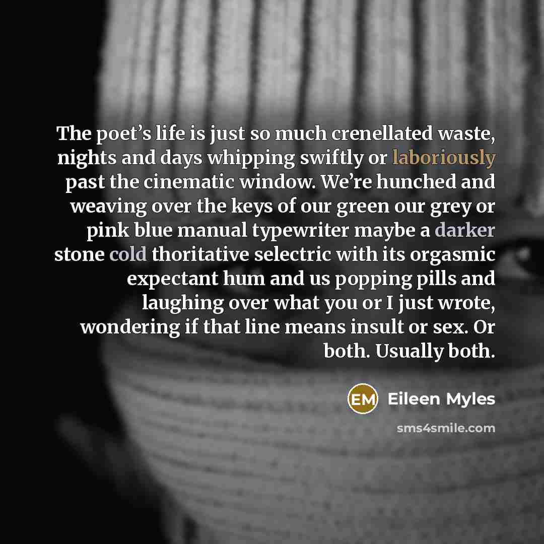 “The poet’s life is just so much crenellated waste, nights and days whipping swiftly or laboriously past the cinematic window. We’re hunched and weaving over the keys of our green our grey or pink blue manual typewriter maybe a darker stone cold thoritative selectric with its orgasmic expectant hum…” quote by Eileen Myles