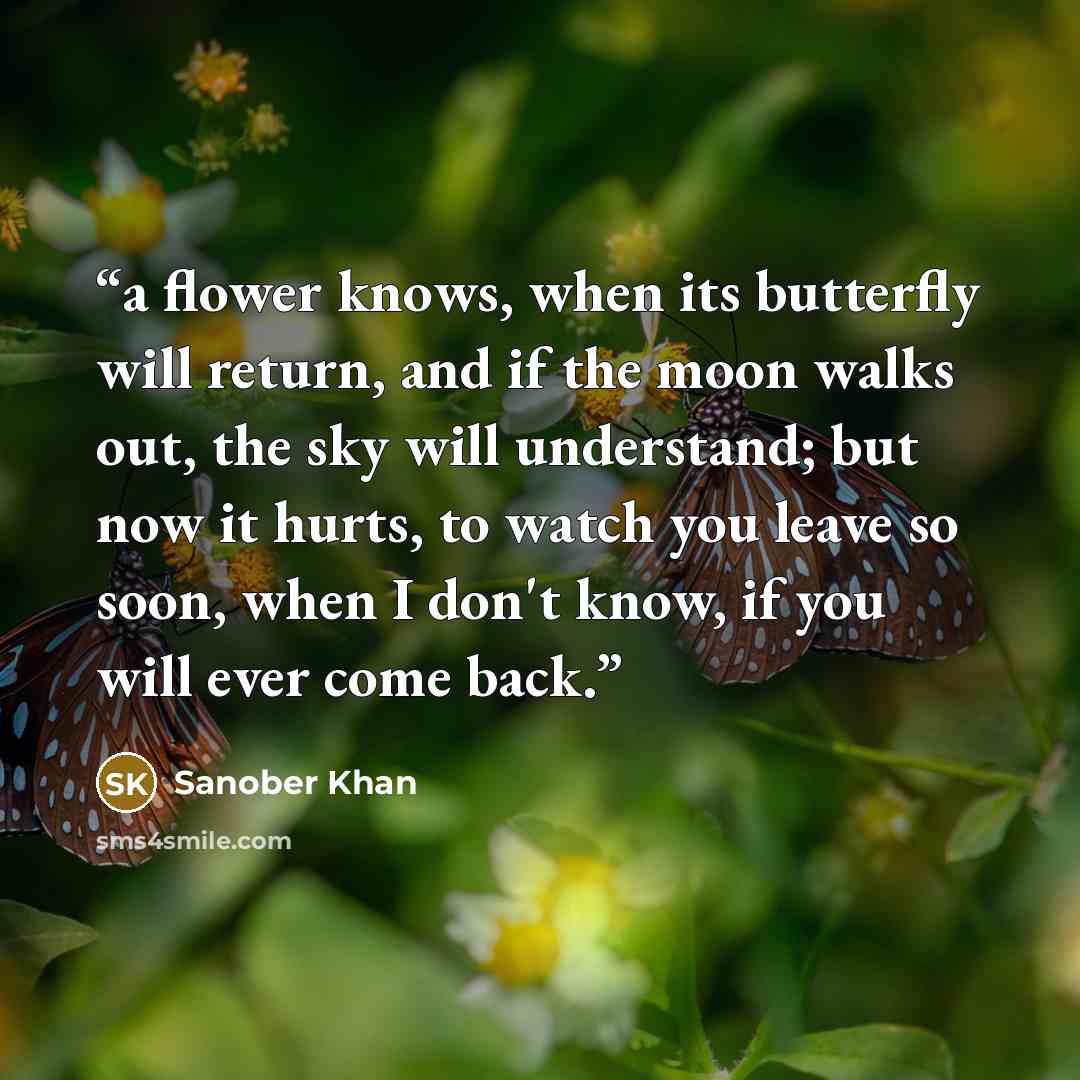 “a flower knows, when its butterfly will return, and if the moon walks out, the sky will understand; but now it hurts, to watch you leave so soon, when I don't know, if you will ever come back.” quote by Sanober Khan