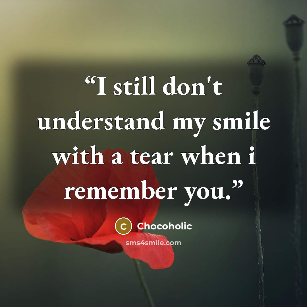 “I still don't understand my smile with a tear when i remember you.” quote by Chocoholic