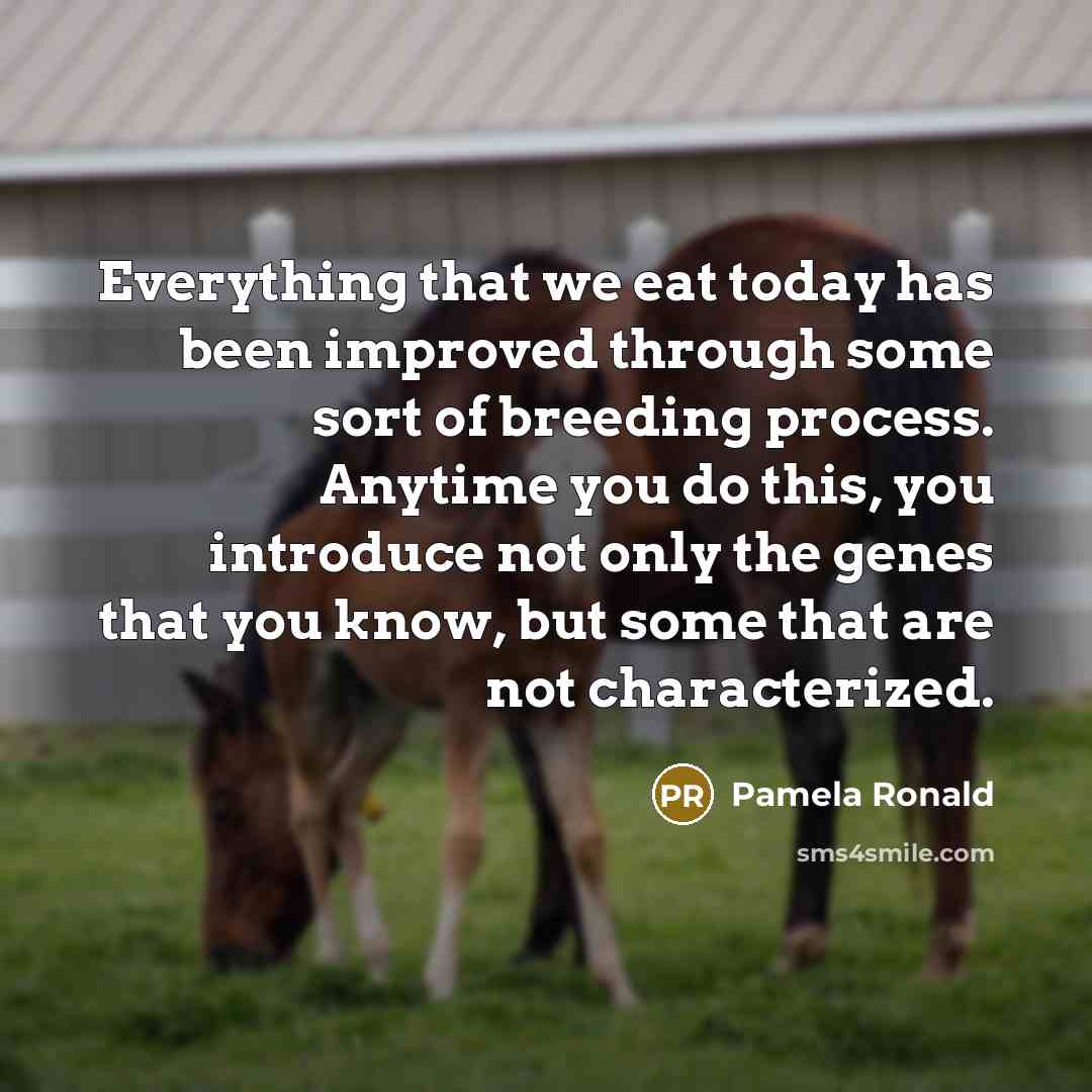 “Everything that we eat today has been improved through some sort of breeding process. Anytime you do this, you introduce not only the genes that you know, but some that are not characterized.” quote by Pamela Ronald