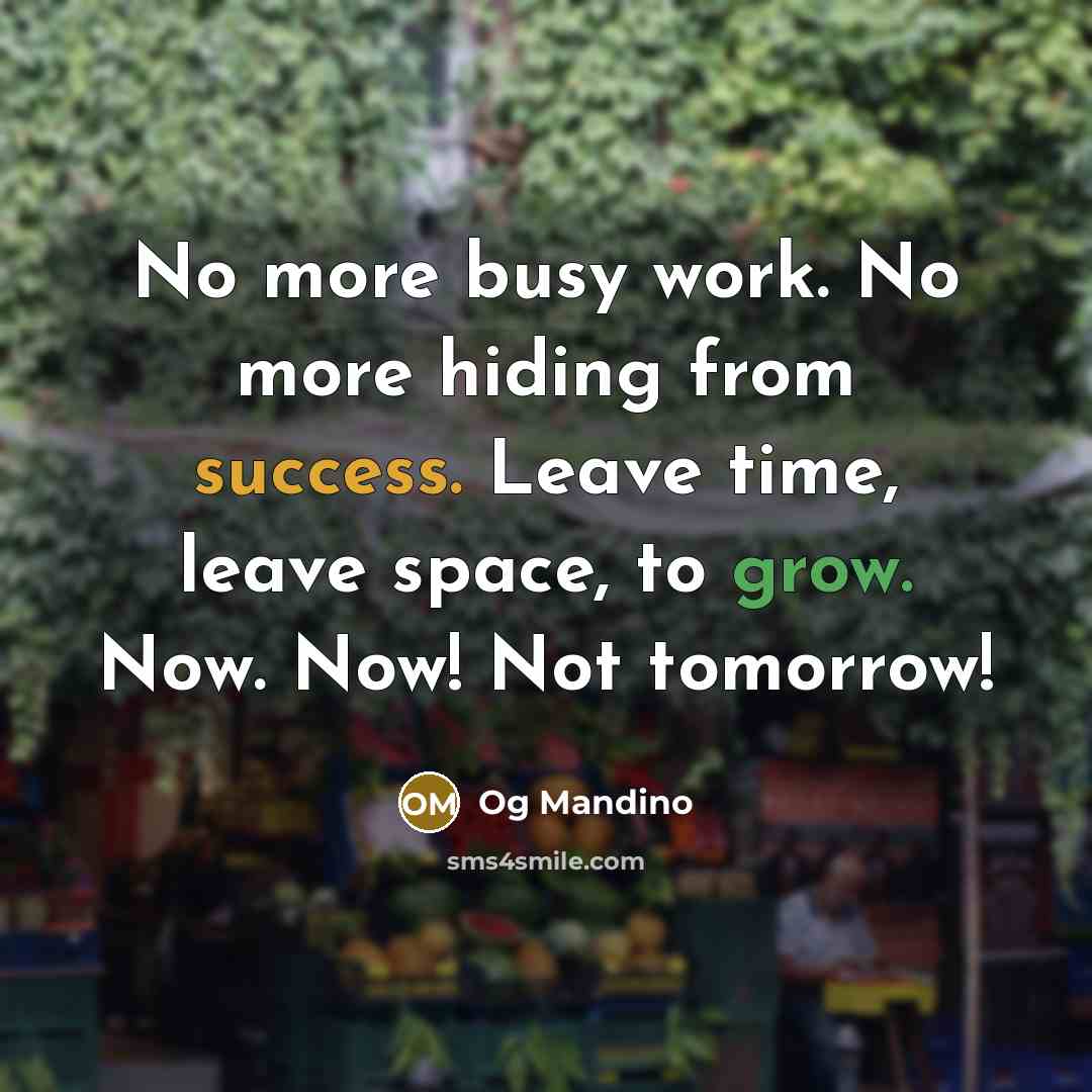 “No more busy work. No more hiding from success. Leave time, leave space, to grow. Now. Now! Not tomorrow!” quote by Og Mandino