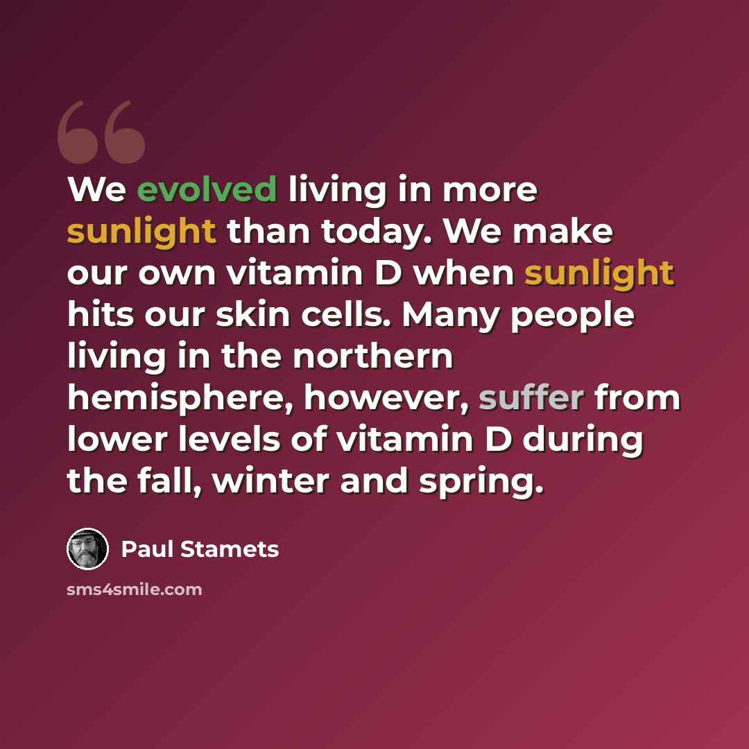 “We evolved living in more sunlight than today. We make our own vitamin D when sunlight hits our skin cells. Many people living in the northern hemisphere, however, suffer from lower levels of vitamin D during the fall, winter and spring.” quote by Paul Stamets