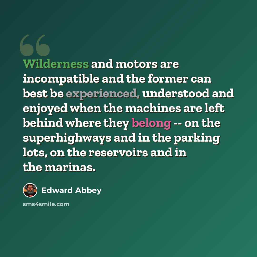 “Wilderness and motors are incompatible and the former can best be experienced, understood and enjoyed when the machines are left behind where they belong -- on the superhighways and in the parking lots, on the reservoirs and in the marinas.” quote by Edward Abbey