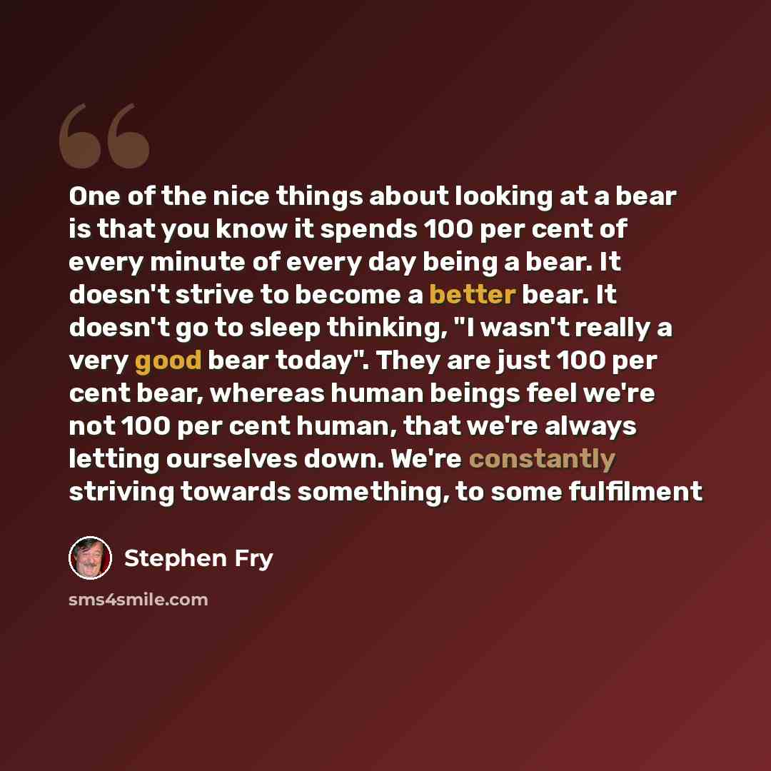 “One of the nice things about looking at a bear is that you know it spends 100 per cent of every minute of every day being a bear. It doesn't strive to become a better bear. It doesn't go to sleep thinking, "I wasn't really a very good bear today". They are just 100 per cent bear, whereas human…” quote by Stephen Fry