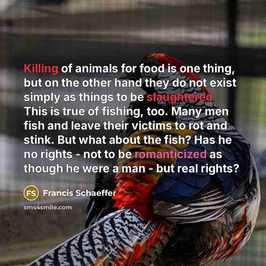 “Killing of animals for food is one thing, but on the other hand they do not exist simply as things to be slaughtered. This is true of fishing, too. Many men fish and leave their victims to rot and stink. But what about the fish? Has he no rights - not to be romanticized as though he were a man…” quote by Francis Schaeffer
