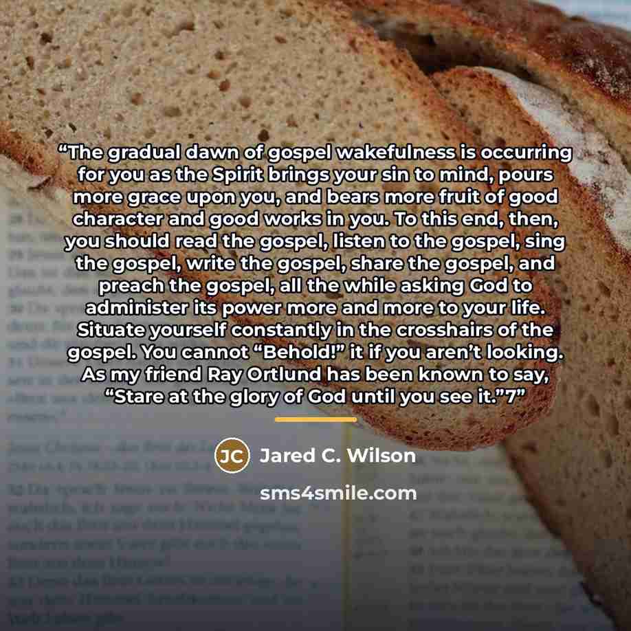 “The gradual dawn of gospel wakefulness is occurring for you as the Spirit brings your sin to mind, pours more grace upon you, and bears more fruit of good character and good works in you. To this end, then, you should read the gospel, listen to the gospel, sing the gospel, write the gospel, share…” quote by Jared C. Wilson