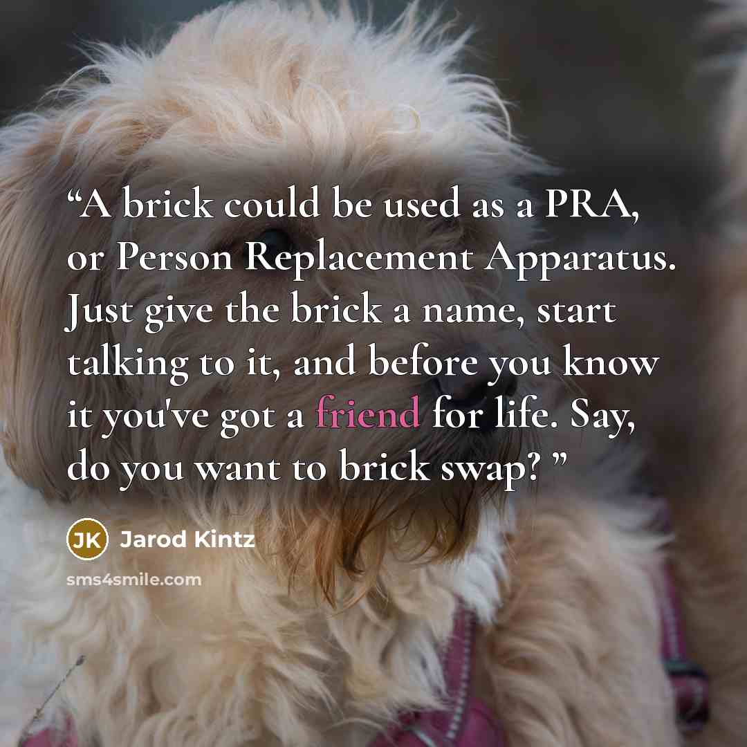 “A brick could be used as a PRA, or Person Replacement Apparatus. Just give the brick a name, start talking to it, and before you know it you've got a friend for life. Say, do you want to brick swap?” quote by Jarod Kintz