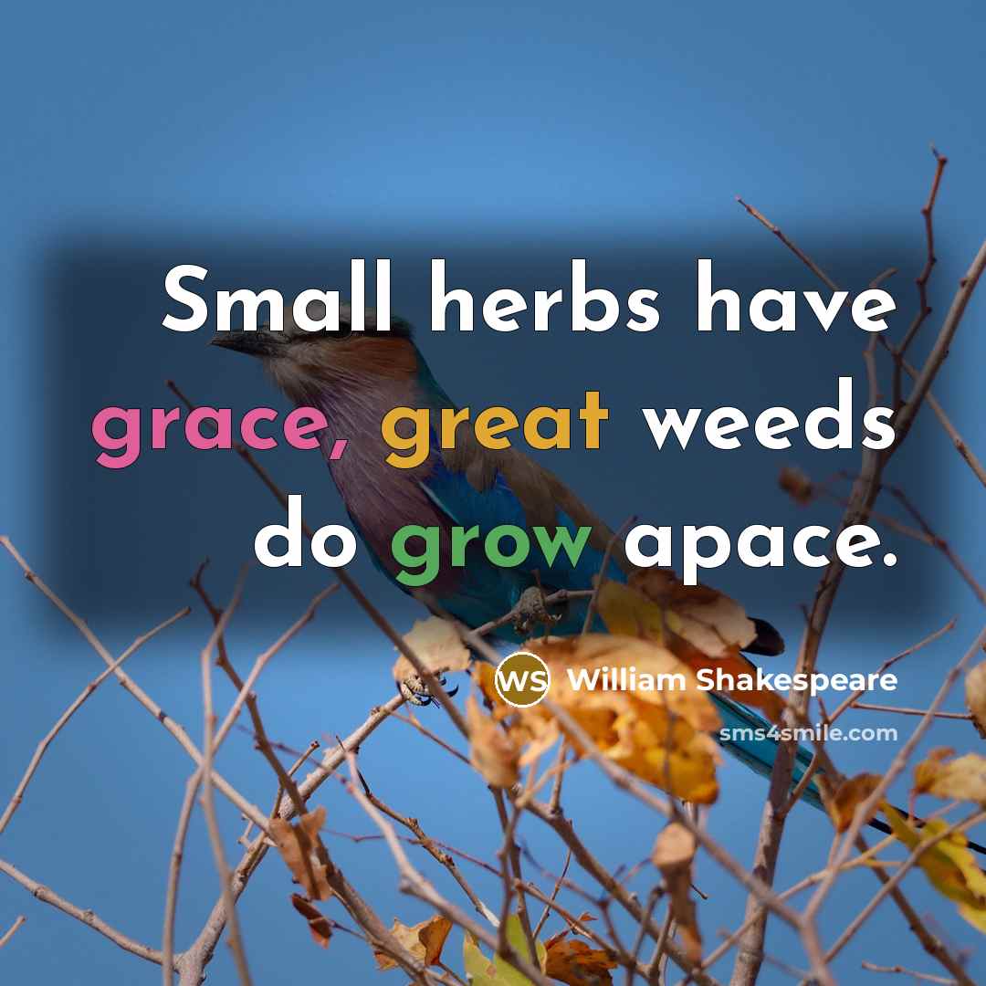 “Small herbs have grace, great weeds do grow apace.” quote by William Shakespeare