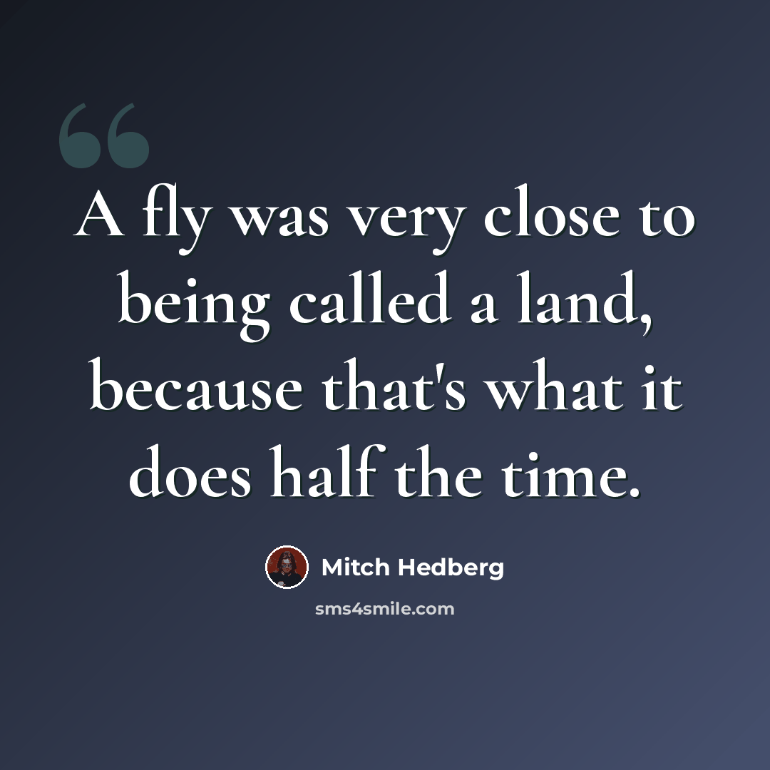 “A fly was very close to being called a land, because that's what it does half the time.” quote by Mitch Hedberg