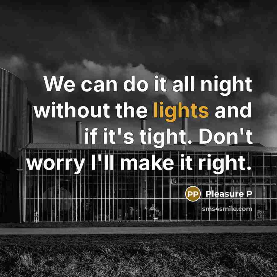 “We can do it all night without the lights and if it's tight. Don't worry I'll make it right.” quote by Pleasure P