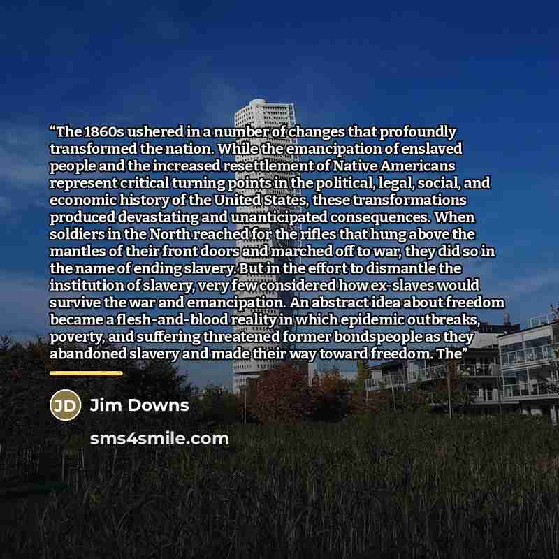 “The 1860s ushered in a number of changes that profoundly transformed the nation. While the emancipation of enslaved people and the increased resettlement of Native Americans represent critical turning points in the political, legal, social, and economic history of the United States, these…” quote by Jim Downs