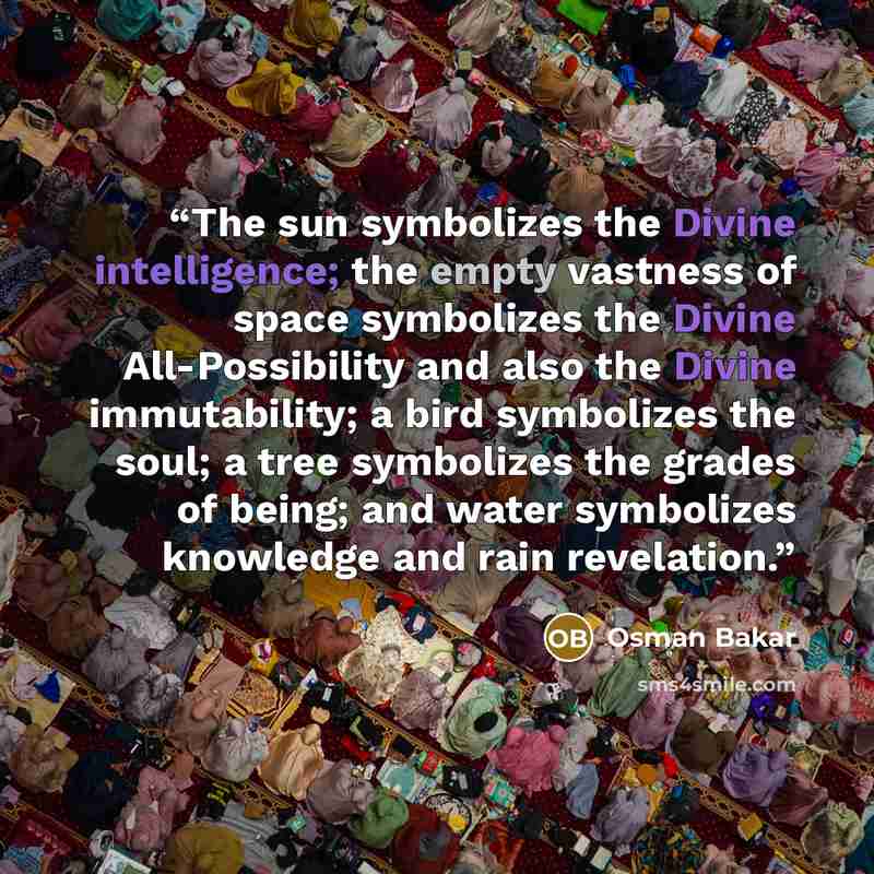 “The sun symbolizes the Divine intelligence; the empty vastness of space symbolizes the Divine All-Possibility and also the Divine immutability; a bird symbolizes the soul; a tree symbolizes the grades of being; and water symbolizes knowledge and rain revelation.” quote by Osman Bakar