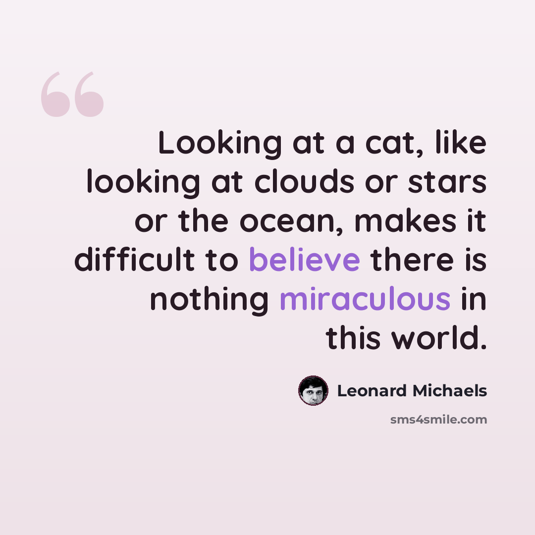 “Looking at a cat, like looking at clouds or stars or the ocean, makes it difficult to believe there is nothing miraculous in this world.” quote by Leonard Michaels