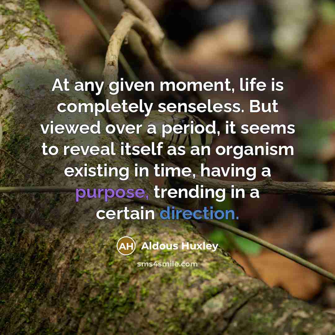 “At any given moment, life is completely senseless. But viewed over a period, it seems to reveal itself as an organism existing in time, having a purpose, trending in a certain direction.” quote by Aldous Huxley