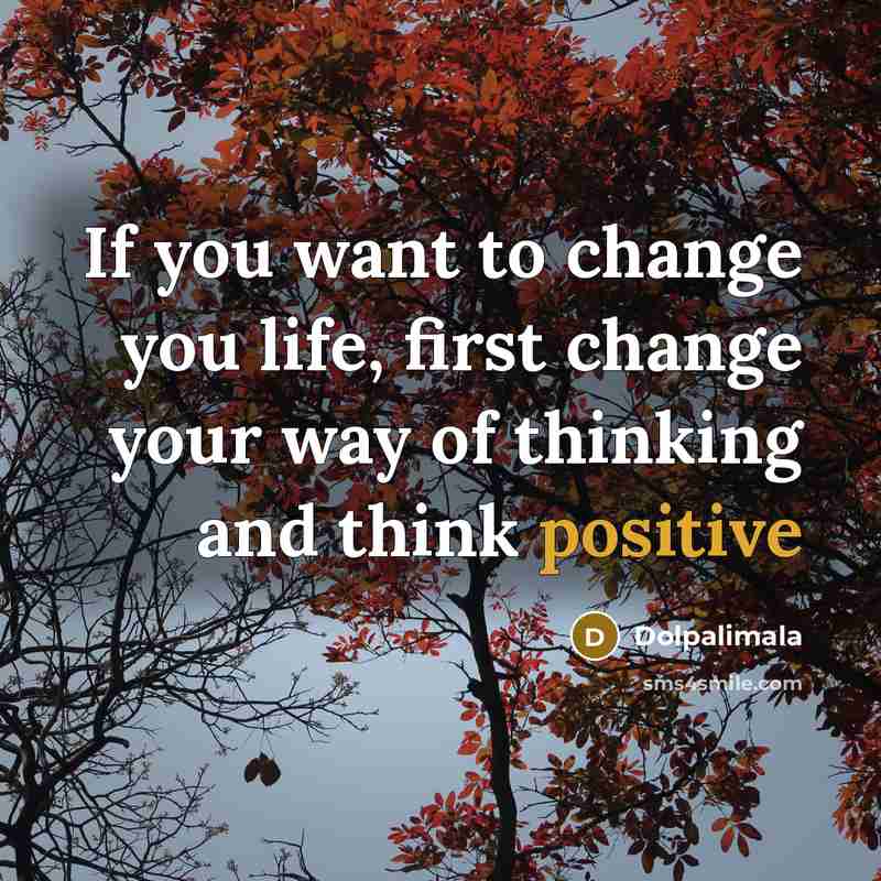 “If you want to change you life, first change your way of thinking and think positive” quote by Dolpalimala
