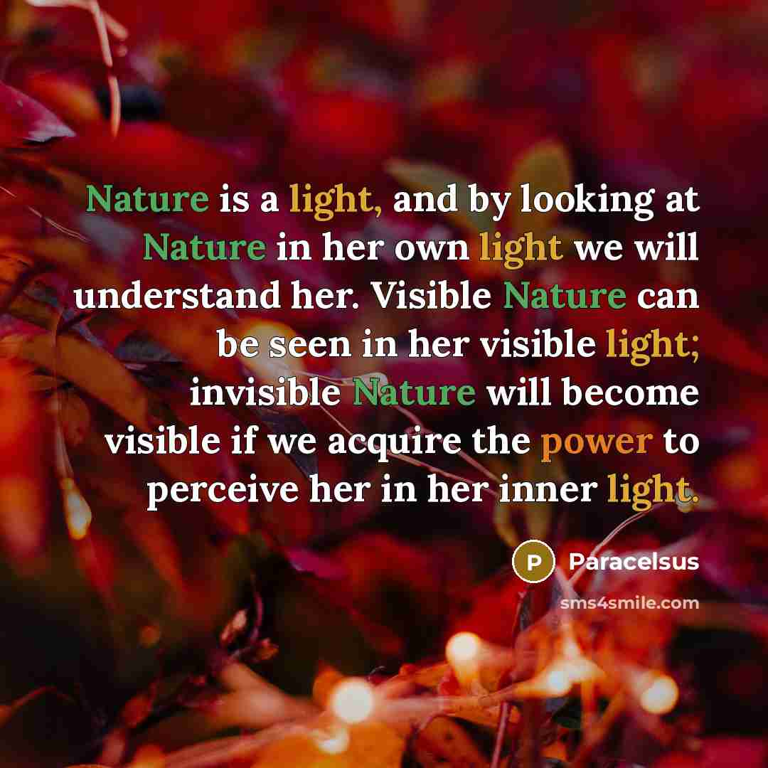 “Nature is a light, and by looking at Nature in her own light we will understand her. Visible Nature can be seen in her visible light; invisible Nature will become visible if we acquire the power to perceive her in her inner light.” quote by Paracelsus