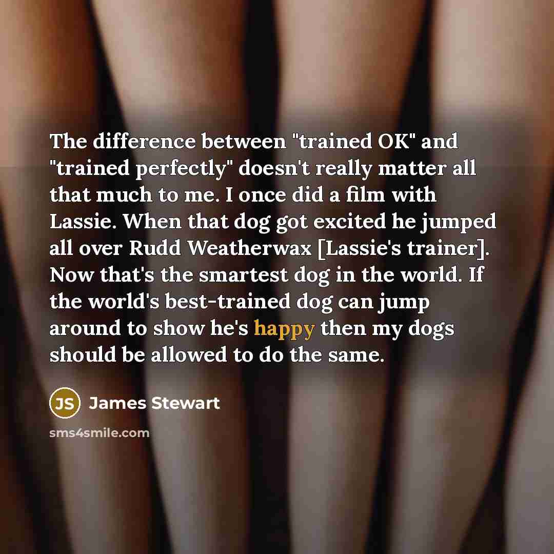 “The difference between "trained OK" and "trained perfectly" doesn't really matter all that much to me. I once did a film with Lassie. When that dog got excited he jumped all over Rudd Weatherwax [Lassie's trainer]. Now that's the smartest dog in the world. If the world's best-trained dog can jump…” quote by James Stewart