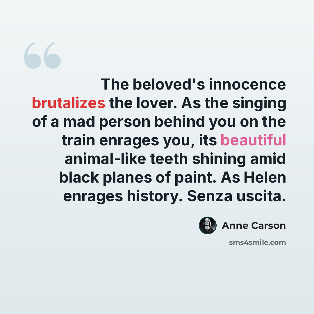 “The beloved's innocence brutalizes the lover. As the singing of a mad person behind you on the train enrages you, its beautiful animal-like teeth shining amid black planes of paint. As Helen enrages history. Senza uscita.” quote by Anne Carson