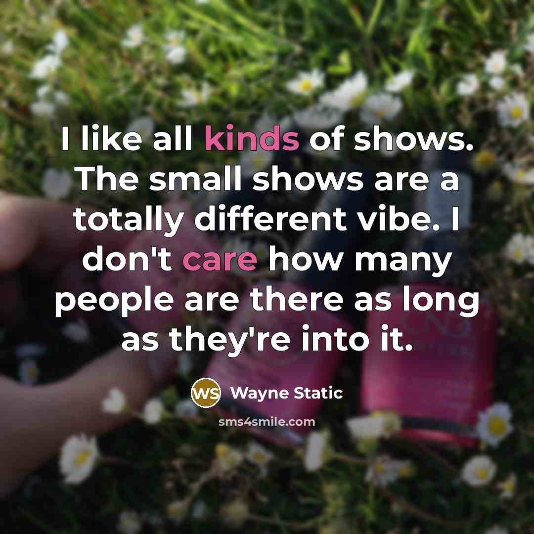 “I like all kinds of shows. The small shows are a totally different vibe. I don't care how many people are there as long as they're into it.” quote by Wayne Static