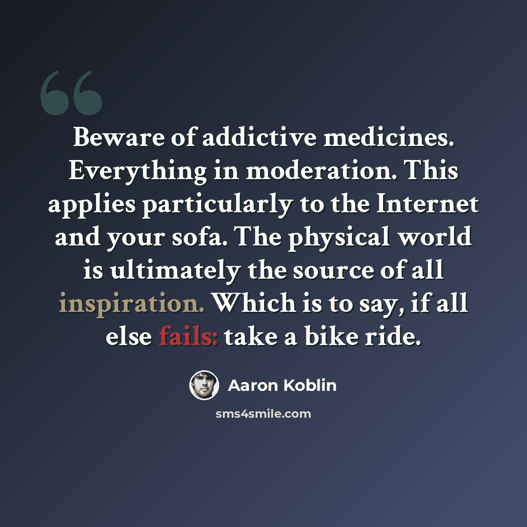 “Beware of addictive medicines. Everything in moderation. This applies particularly to the Internet and your sofa. The physical world is ultimately the source of all inspiration. Which is to say, if all else fails: take a bike ride.” quote by Aaron Koblin