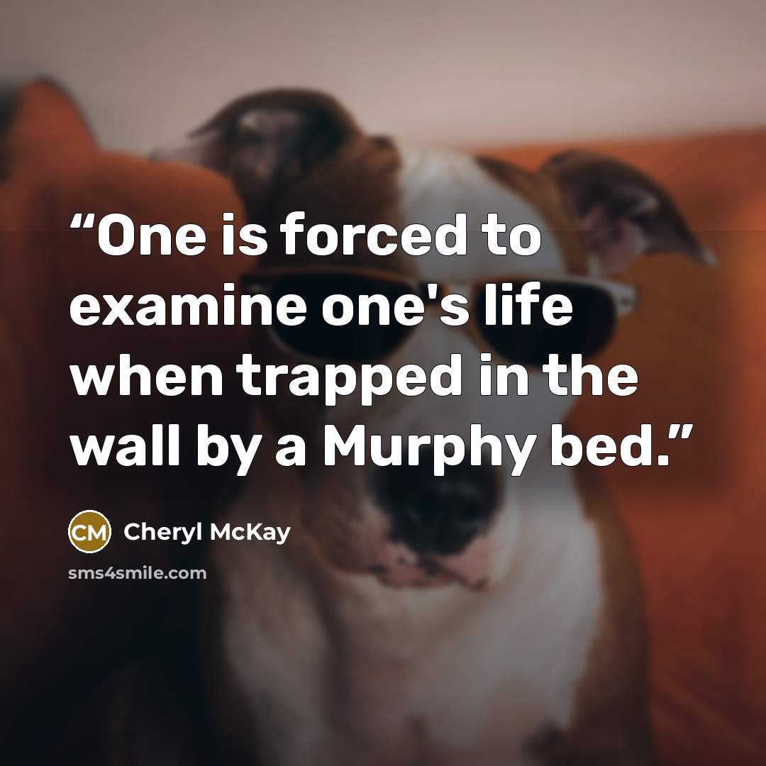 “One is forced to examine one's life when trapped in the wall by a Murphy bed.” quote by Cheryl McKay