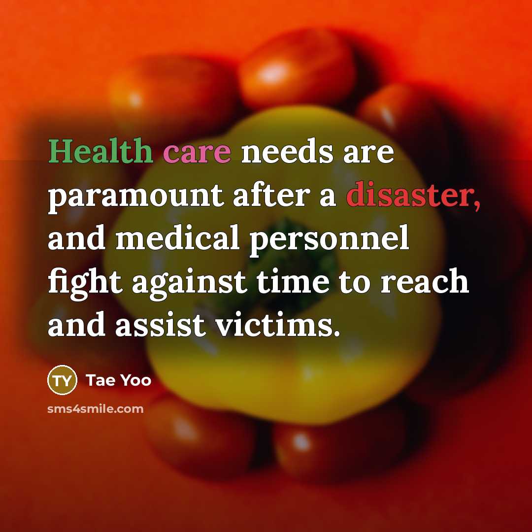 “Health care needs are paramount after a disaster, and medical personnel fight against time to reach and assist victims.” quote by Tae Yoo