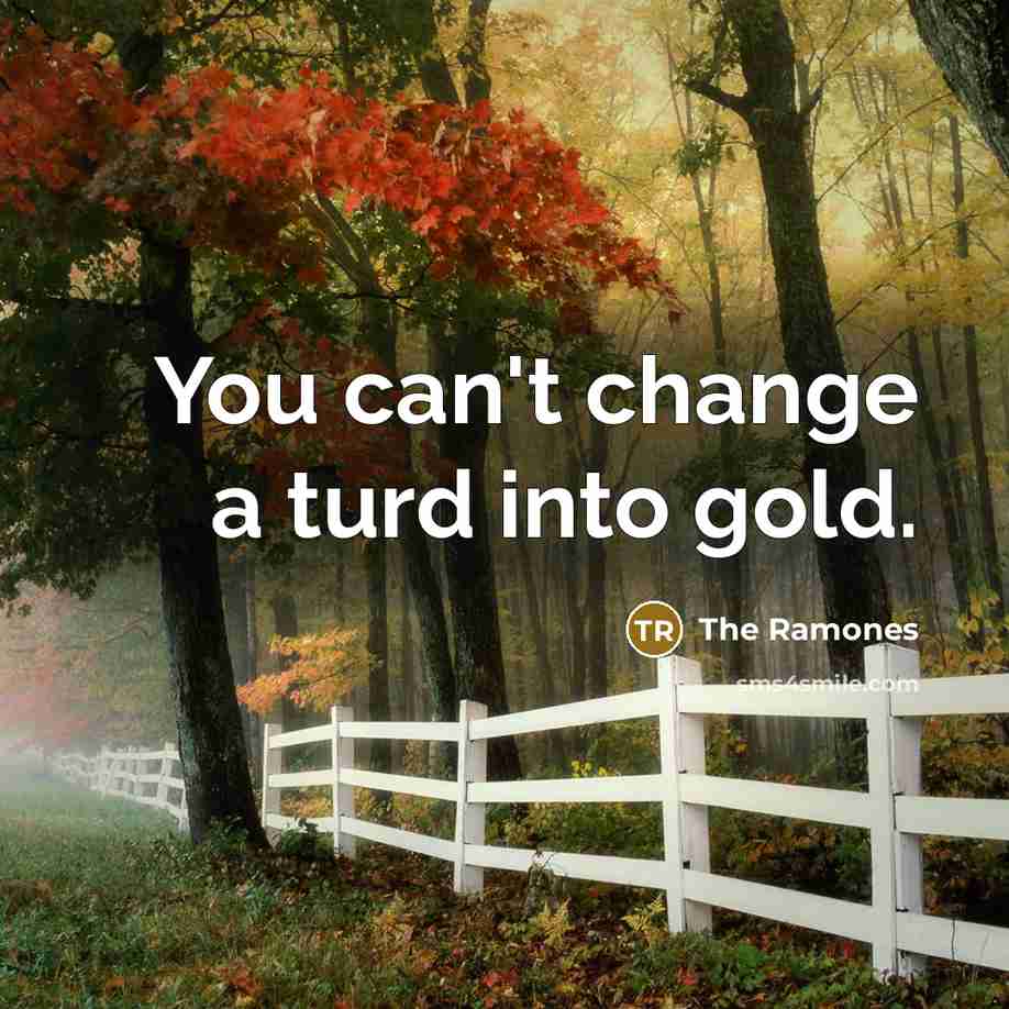 “You can't change a turd into gold.” quote by The Ramones