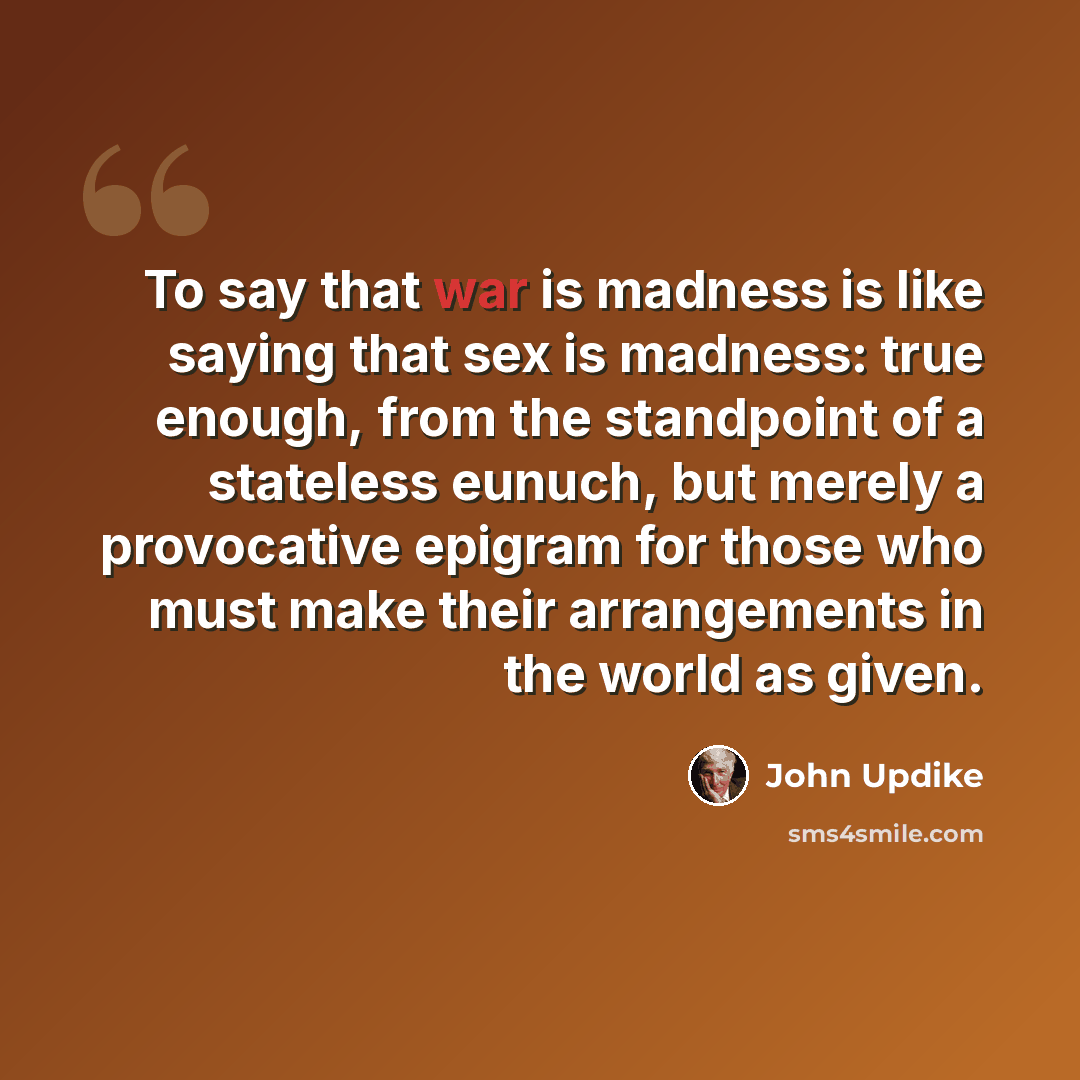 “To say that war is madness is like saying that sex is madness: true enough, from the standpoint of a stateless eunuch, but merely a provocative epigram for those who must make their arrangements in the world as given.” quote by John Updike
