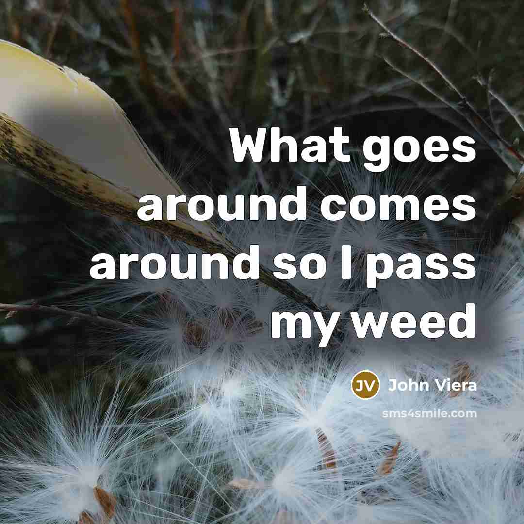“What goes around comes around so I pass my weed” quote by John Viera