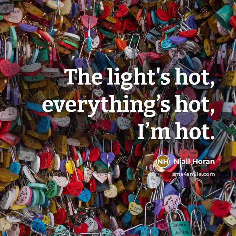 “The light's hot, everything’s hot, I’m hot.” quote by Niall Horan