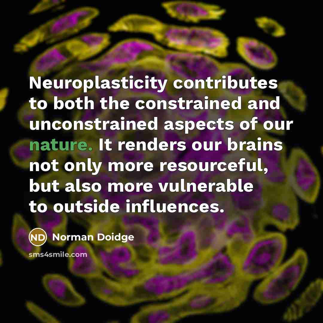 “Neuroplasticity contributes to both the constrained and unconstrained aspects of our nature. It renders our brains not only more resourceful, but also more vulnerable to outside influences.” quote by Norman Doidge
