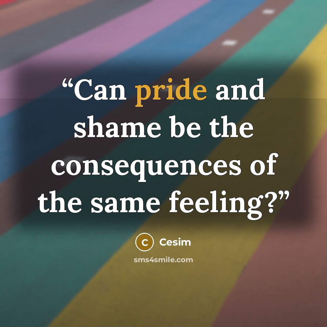 “Can pride and shame be the consequences of the same feeling?” quote by Cesim
