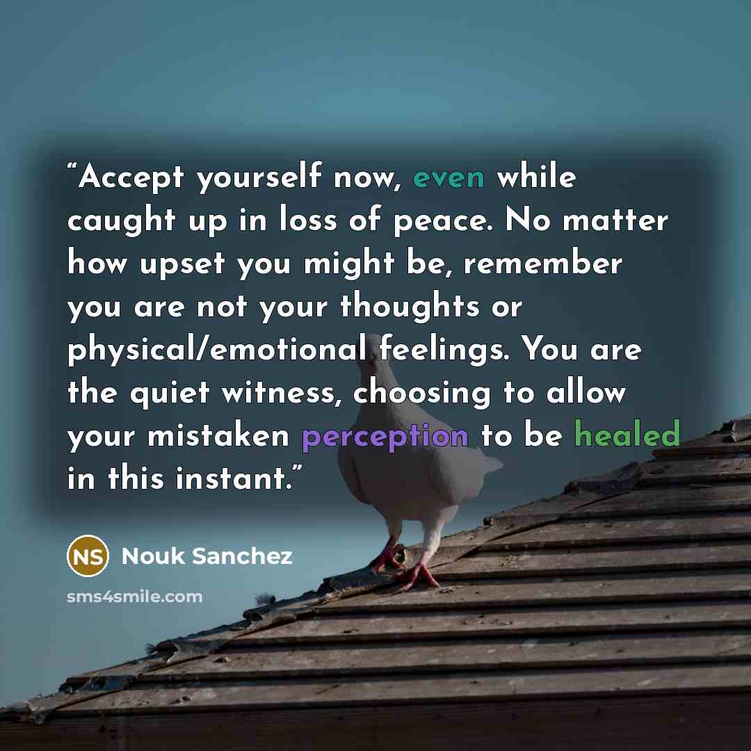 “Accept yourself now, even while caught up in loss of peace. No matter how upset you might be, remember you are not your thoughts or physical/emotional feelings. You are the quiet witness, choosing to allow your mistaken perception to be healed in this instant.” quote by Nouk Sanchez