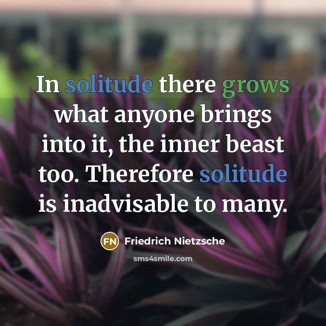 “In solitude there grows what anyone brings into it, the inner beast too. Therefore solitude is inadvisable to many.” quote by Friedrich Nietzsche