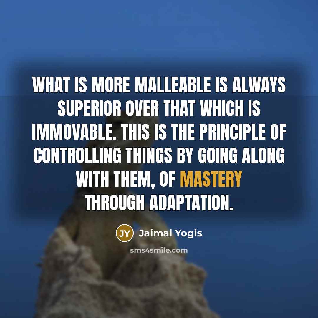 “What is more malleable is always superior over that which is immovable. This is the principle of controlling things by going along with them, of mastery through adaptation.” quote by Jaimal Yogis